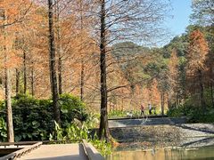 -云溪植物园