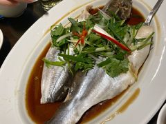 -三盅两件(百丽宫)