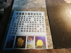 -四洞沟景区