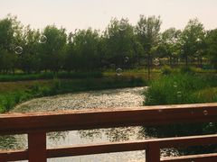 -东郊湿地公园