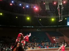 -俄罗斯国家大马戏团