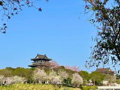 -海珠湖公园