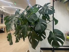 -N1 健身·普拉提·综合馆(嘉美中心店)