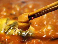-易门野生菌府·菌海森林(月牙潭公园店)