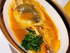 -鲐赏河豚(长寿店)
