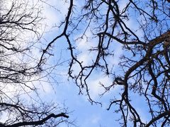 -终南山南五台景区