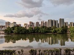 -大亚湾红树林城市湿地公园
