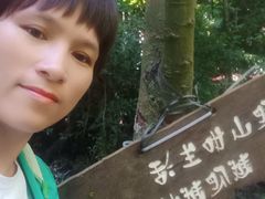 -七仙岭温泉国家森林公园