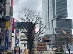 -涩谷全向十字路口