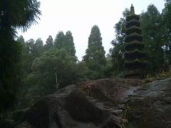 -玉苍山国家森林公园