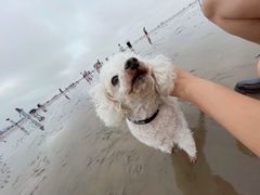 -奉贤海滩