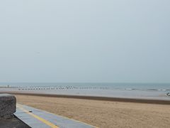 -日照海滨国家森林公园