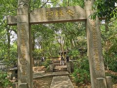 -上海佘山国家森林公园天马山园