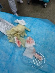 -南京医科大学友谊整形外科医院