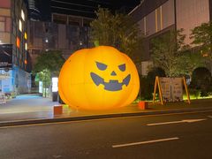 -酒池星座(深圳湾后海汇店)