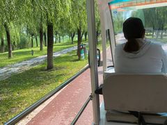 -武清南湖绿博园