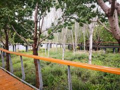 -东郊湿地公园