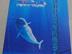 -深海中餐厅(国家海洋博物馆店)