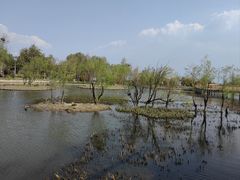 -洱海月湿地公园