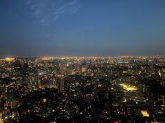 -六本木新城展望台(东京城市景观)
