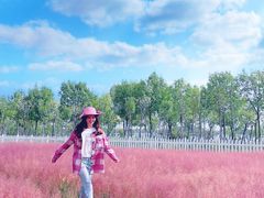 -天津东丽湖风景区