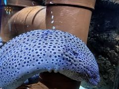 -梦幻海洋王国(吾悦广场张家港店)