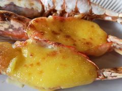 -尊宝比萨(东坡店)