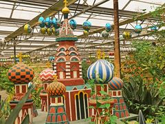 -南宫五洲植物乐园