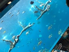-瑞德姆美人鱼海底演艺主题餐厅(亚龙湾店)
