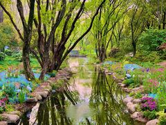 -上海共青森林公园