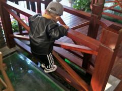 -印象江南(东栅店)