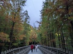 -福道