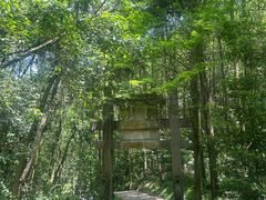 -凤栖山