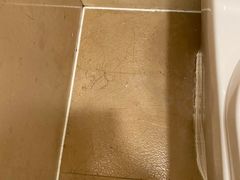 -国家会议中心大酒店
