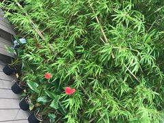-常州百货大楼
