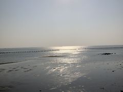 -北海金海湾红树林生态旅游区