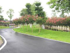 -武汉紫薇都市田园