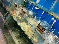 -胖大嫂渔家排档(半边山店)