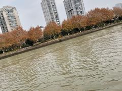 -润和祥小砵头甜酒酿