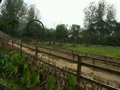 -溱湖国家湿地公园