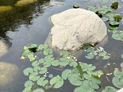 -茯茶镇