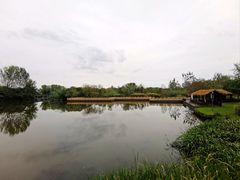 -溱湖国家湿地公园