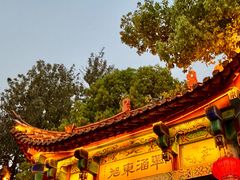 -翠湖公园