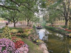 -上海共青森林公园