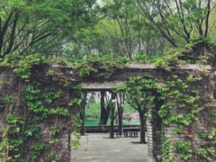 -清华大学-清芬园