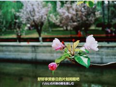 -海棠花溪(元大都城垣遗址公园)