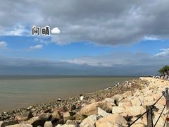 -野狸岛
