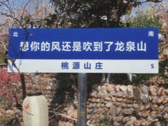 -桃源山庄·水蜜桃采摘·柴火鸡·烧烤团建(龙泉山店)