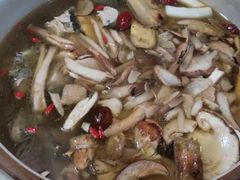 -东巴谷野生菌火锅餐厅