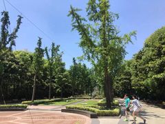 -苏州河梦清园环保主题公园